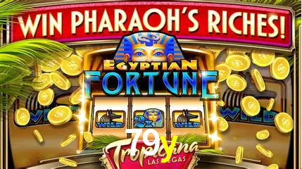 Flash Promotion 79y